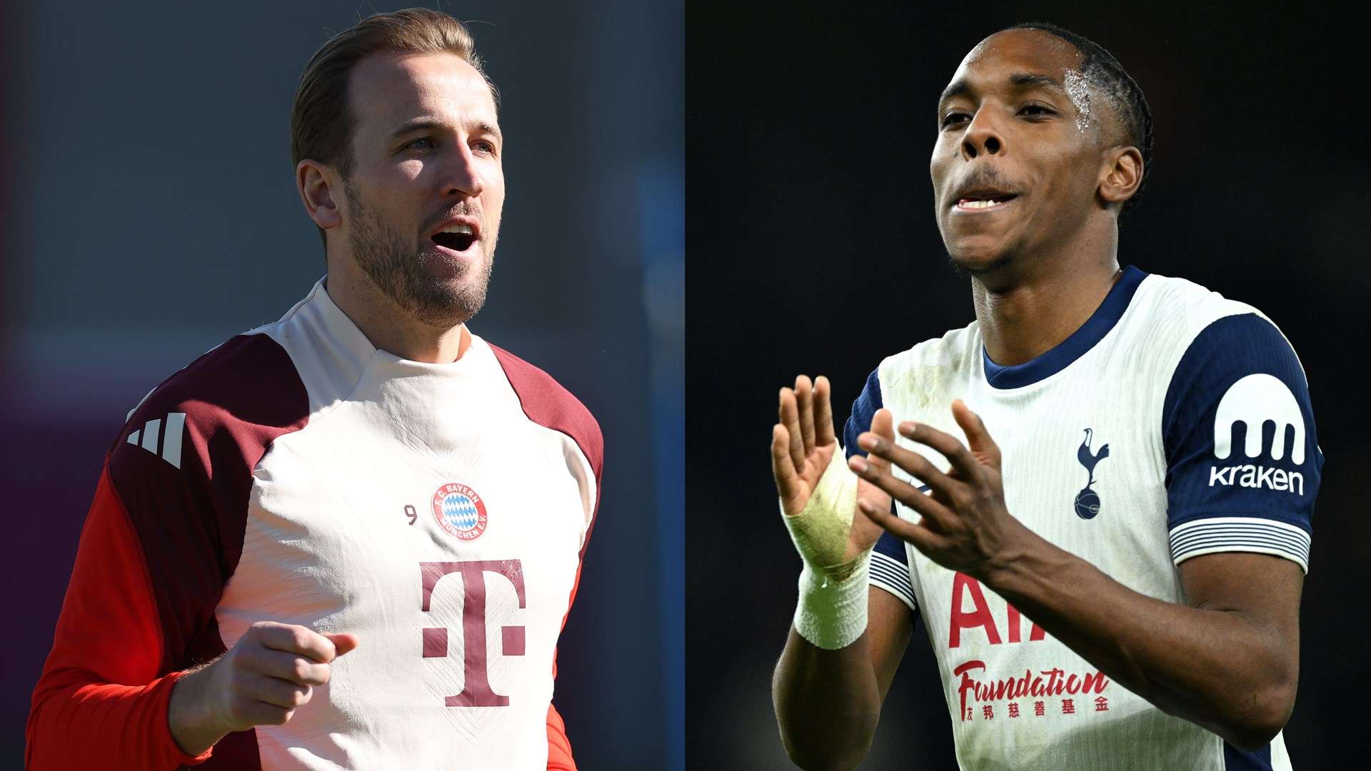 有研究表明 有研究表明