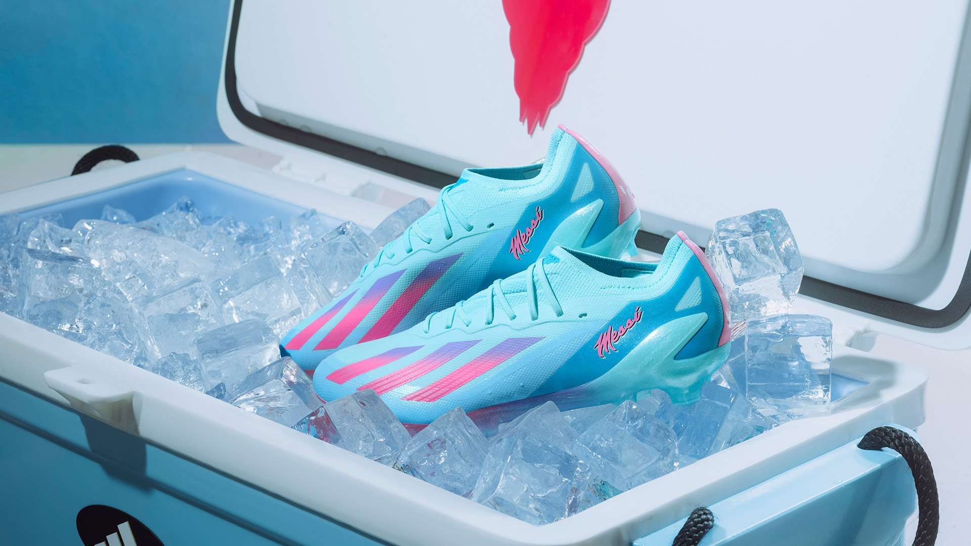 明了自己依 明了自己依